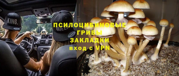 Альфа ПВП Горно-Алтайск