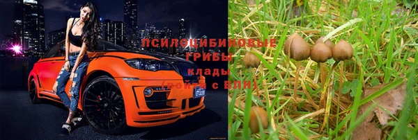 Альфа ПВП Горно-Алтайск