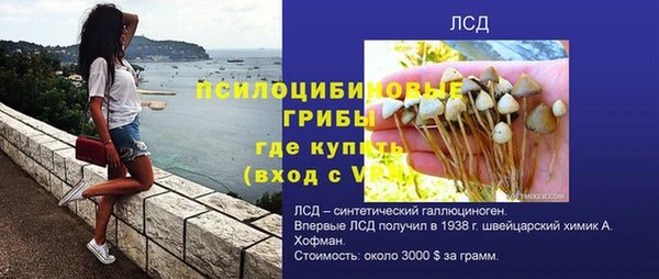 Альфа ПВП Горно-Алтайск