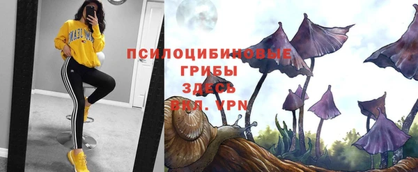 mix Горнозаводск